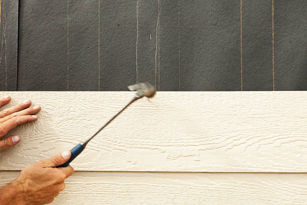 Best Siding Painting and Refinishing  in La Puebla, NM